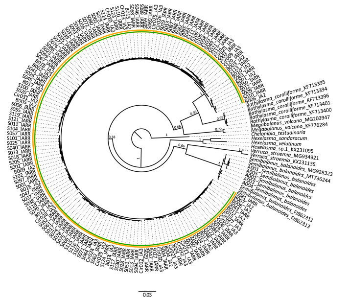 Fig. 5.