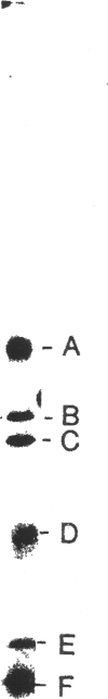 170