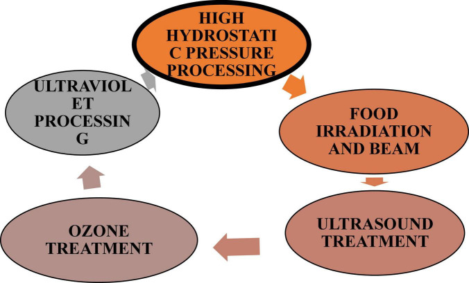 FIGURE 1