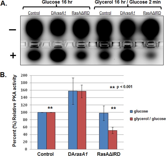 FIG 6 