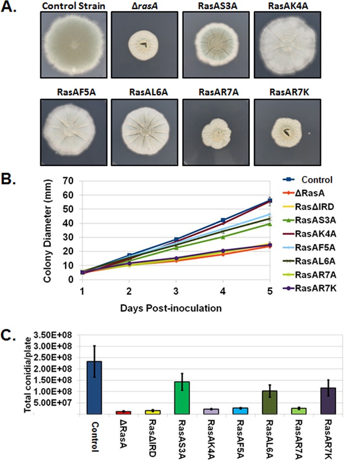 FIG 3 