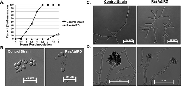 FIG 4 