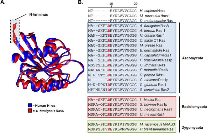 FIG 1 