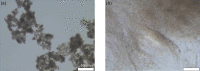 Fig 7