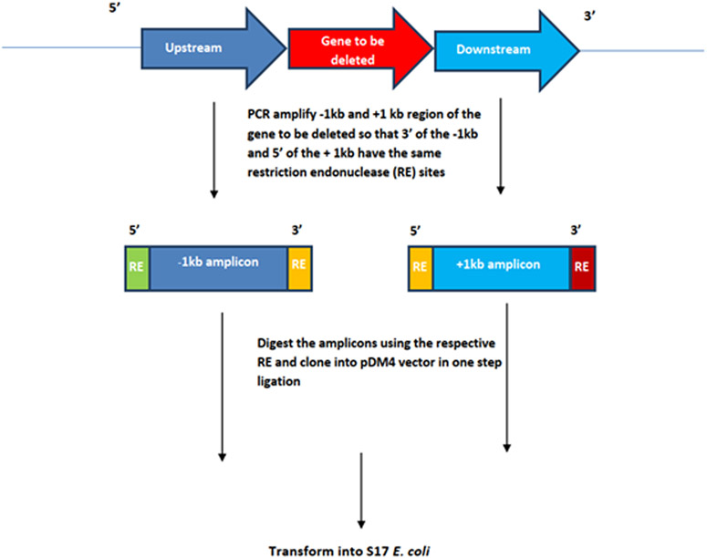 Fig 3.