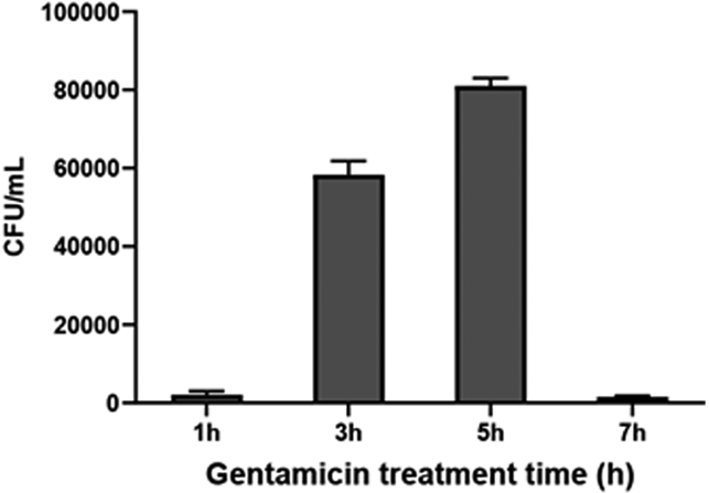 Fig 4.