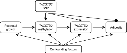 FIG. 2.