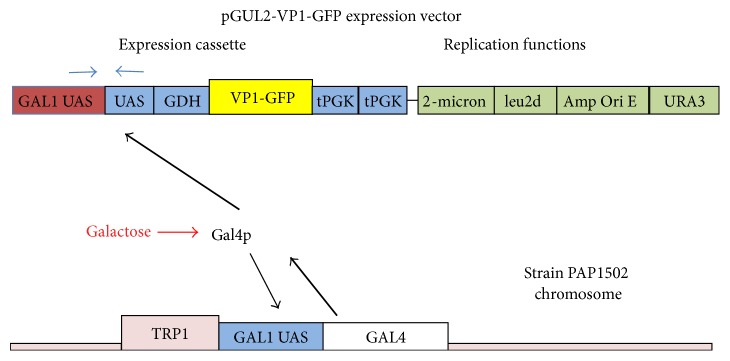 Figure 2