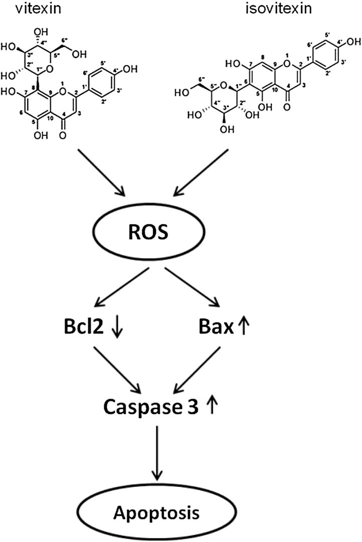 Fig. 12