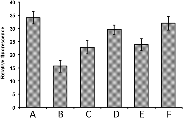 Fig. 5