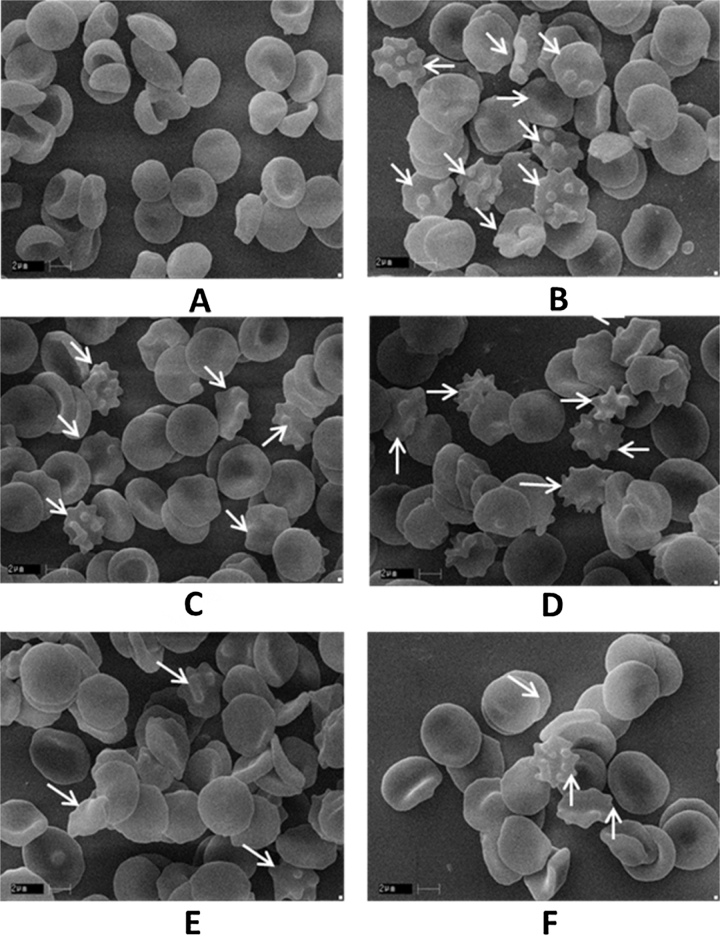 Fig. 8