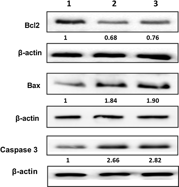 Fig. 11