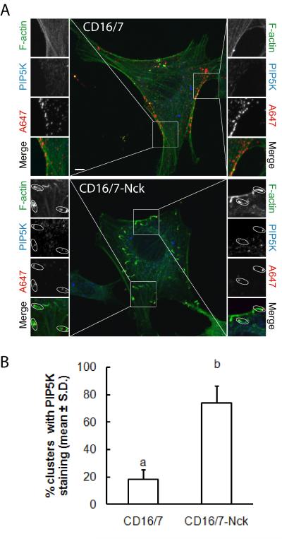 Fig. 4