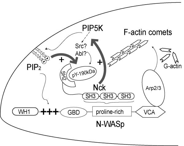 Fig. 8