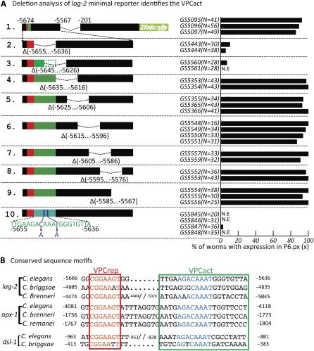 Figure 4 