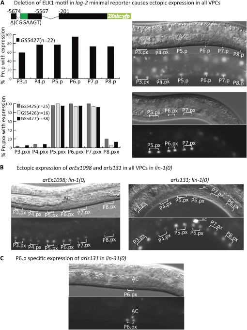 Figure 3 