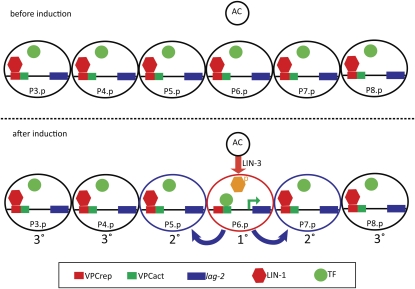 Figure 9 