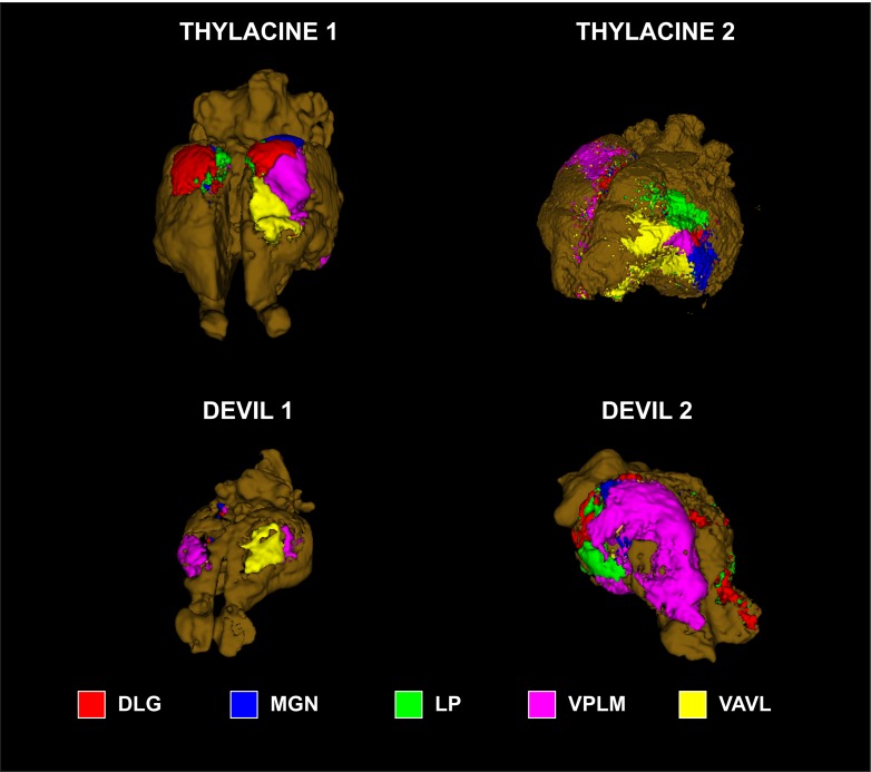 Fig 6