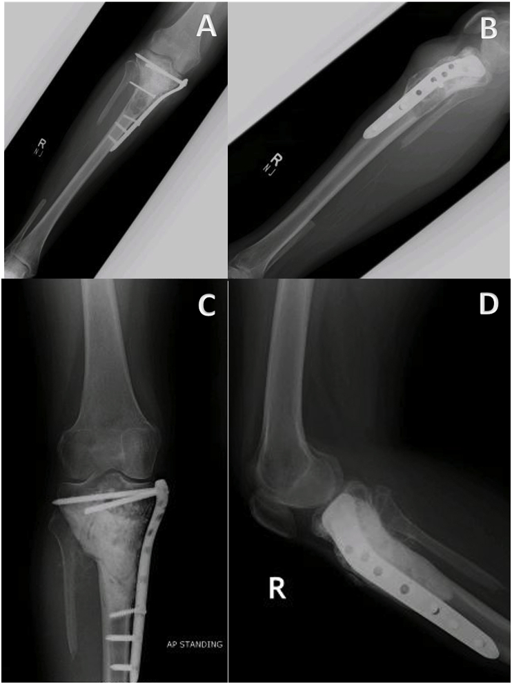 Fig. 5