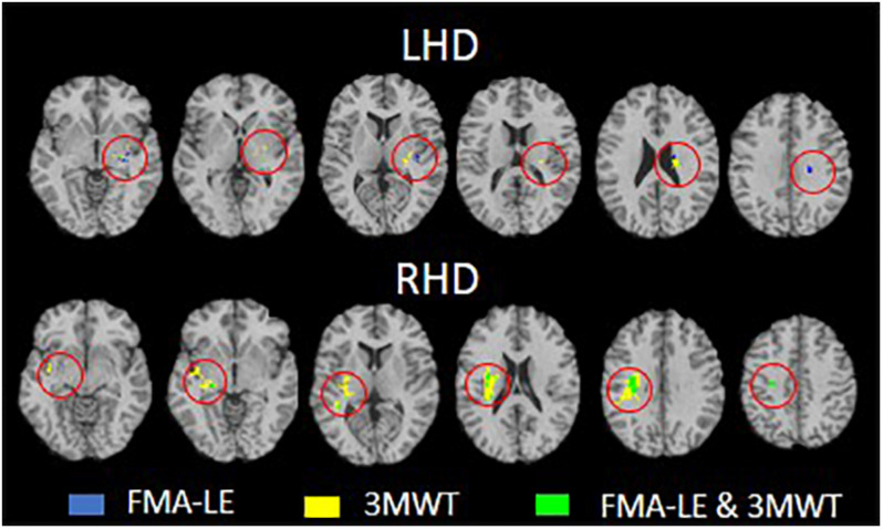 FIGURE 3