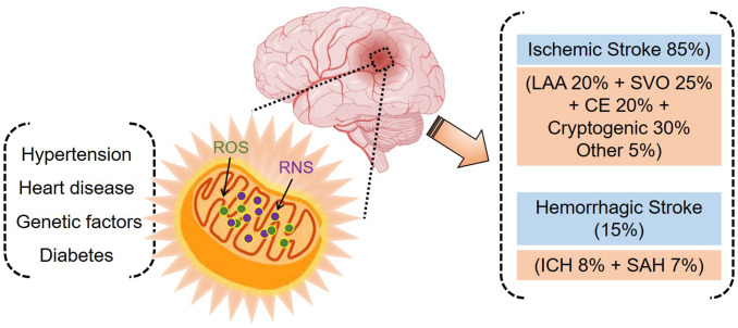 Figure 1