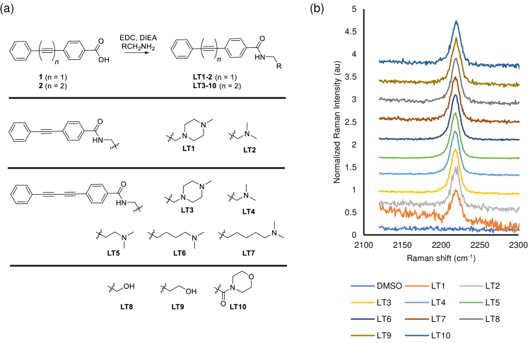 Visualizing drug-induced lipid accumulation in lysosomes of live cancer ...