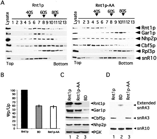 FIG. 6.