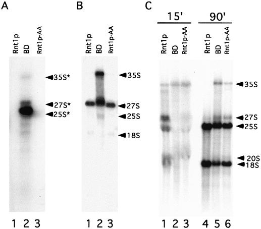 FIG. 5.