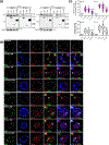 Figure 6: