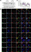 Figure 7: