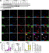 Figure 5: