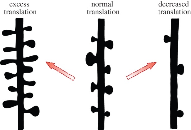 Figure 3.