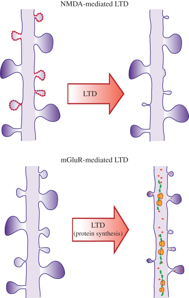 Figure 1.