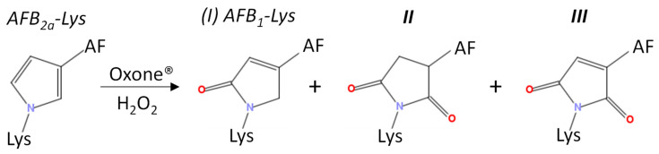 Scheme 3