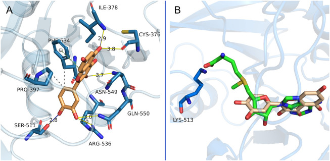 FIGURE 6