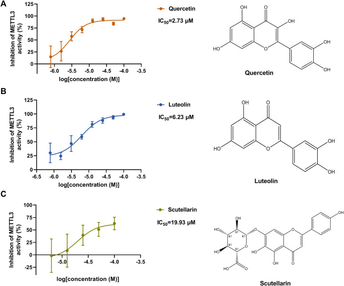 FIGURE 3