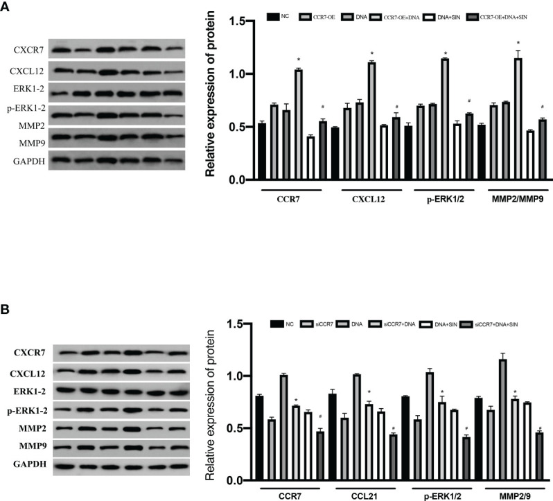 Figure 7