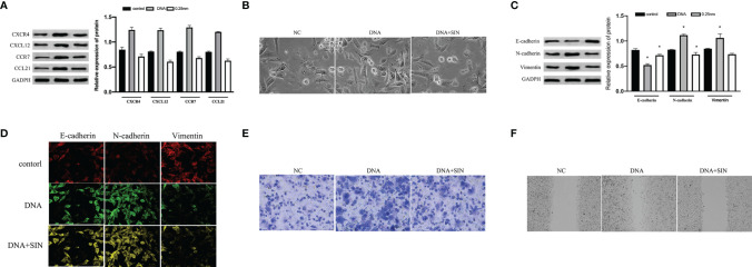 Figure 5