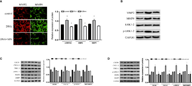 Figure 6