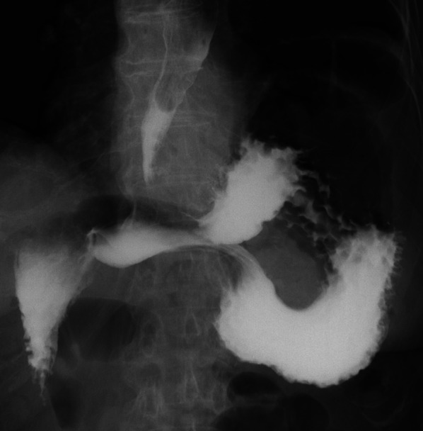 Fig. 6