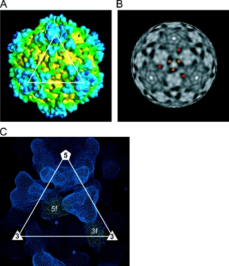 FIG. 4.