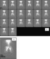 Fig. 8