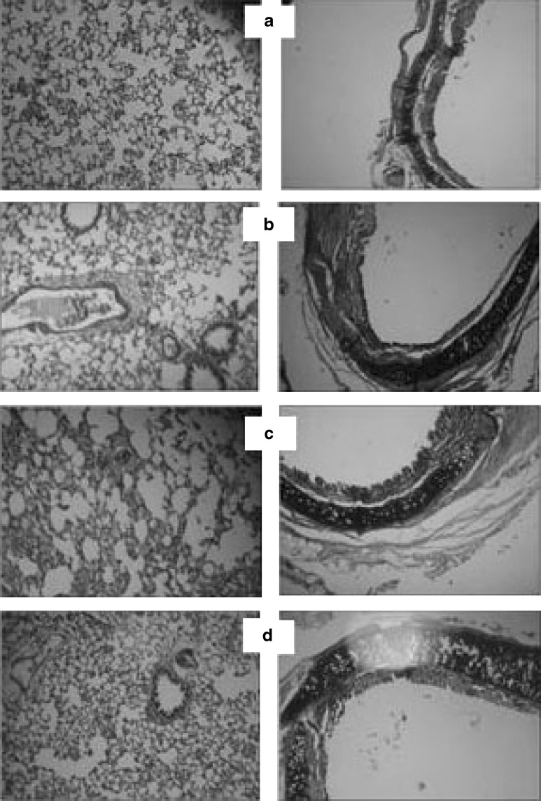 Fig. 7