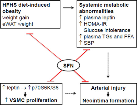 graphic file with name nihms767497f7.jpg