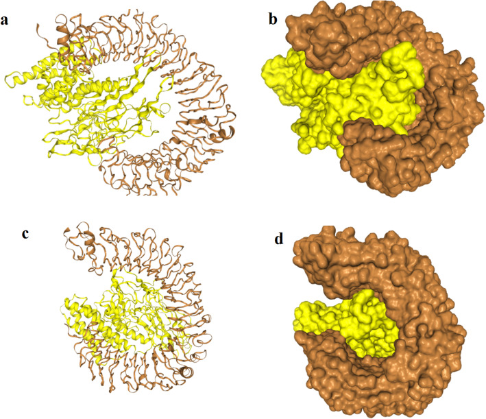 Fig. 8