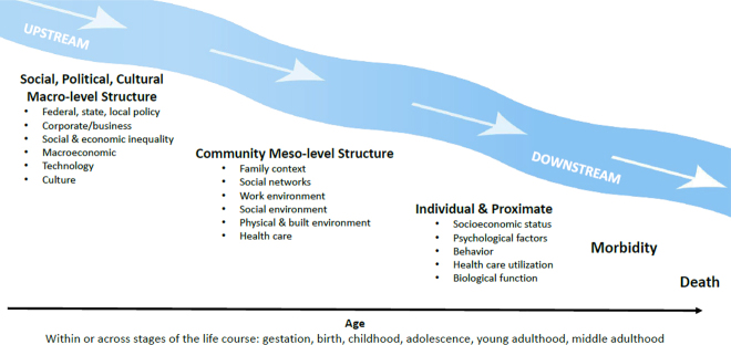 Figure 1: