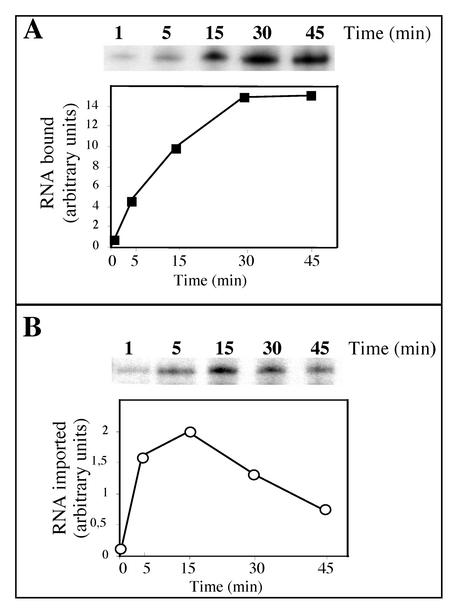 FIG. 7.