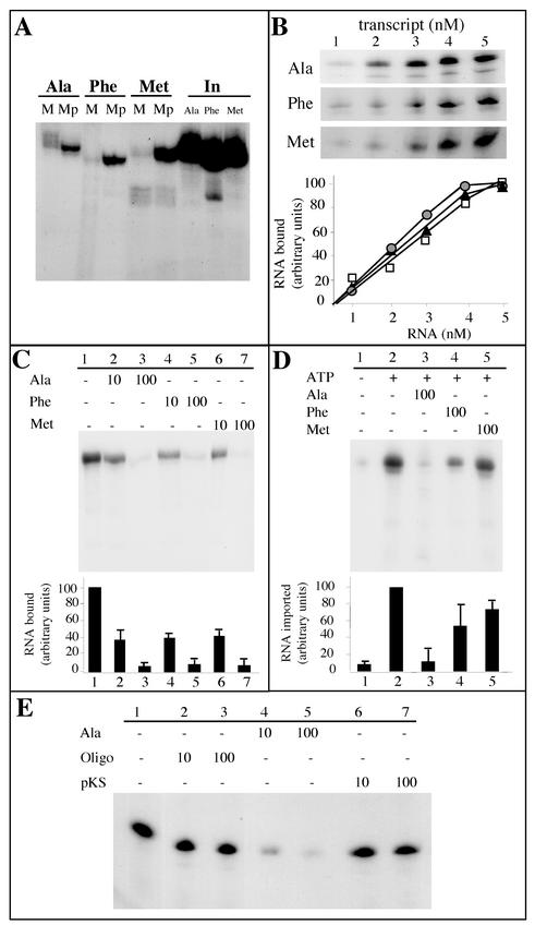 FIG. 9.