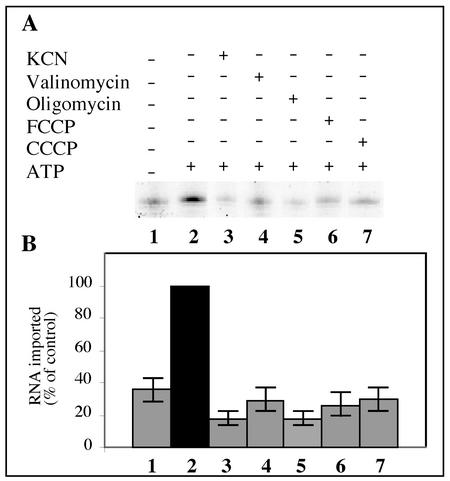 FIG. 5.