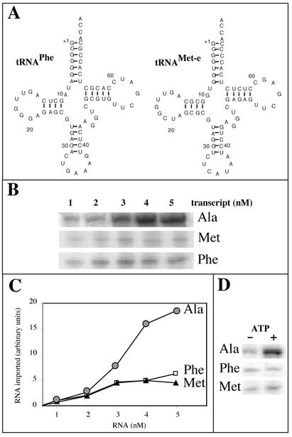 FIG. 8.